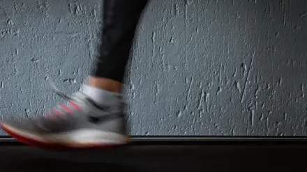 A medium-sized dog stepping onto an indoor treadmill in a home exercise room