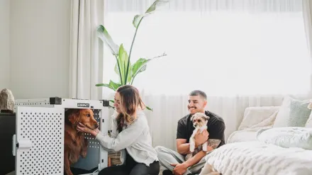 A veterinarian kneeling to speak with a dog owner while an anxious dog leans against the owner's leg