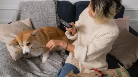 A woman kneeling on a living room floor training a young dog with a handful of treats