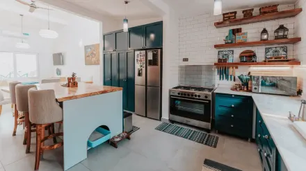 Dog at home near a kitchen