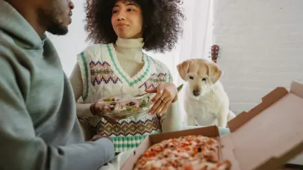 Dog eating from a bowl