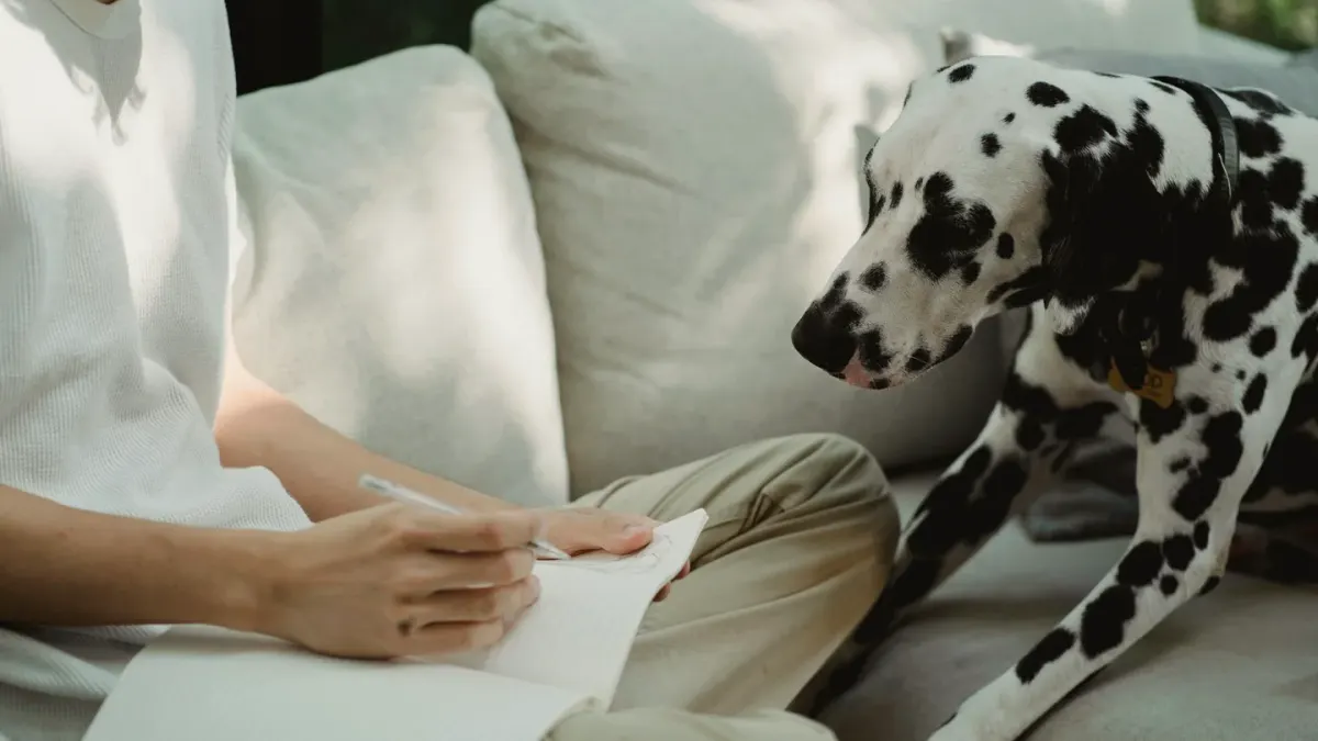 Dog with an owner