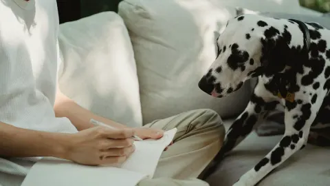 Dog with an owner