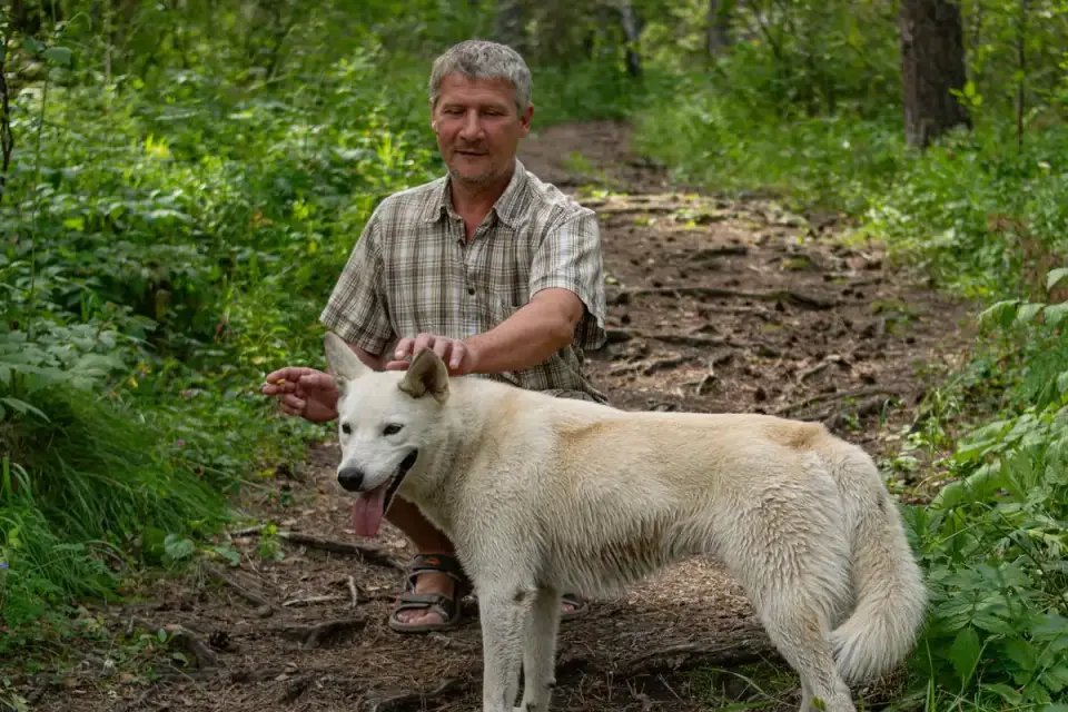 Senior dog walking with an owner