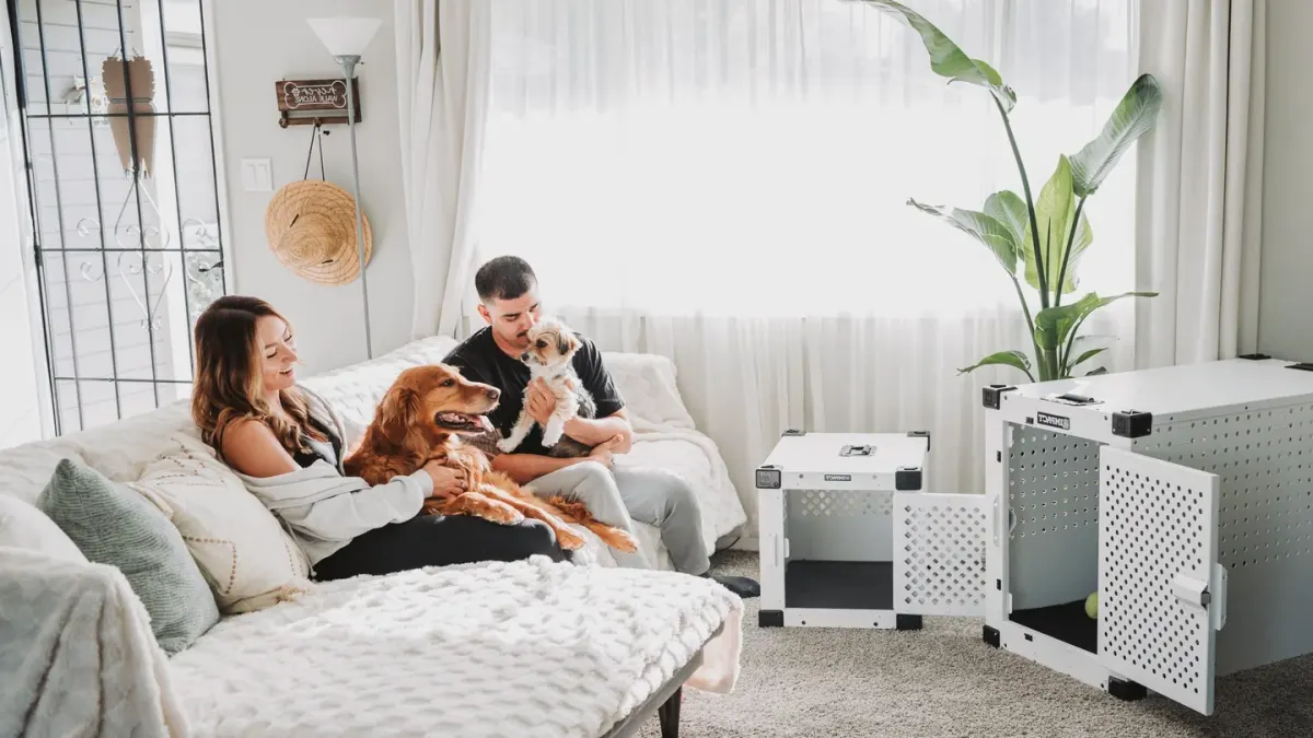 Three dog crate styles - wire, plastic, and soft-sided - arranged side by side